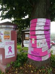 rožnati oktober_Dravograd2019_1